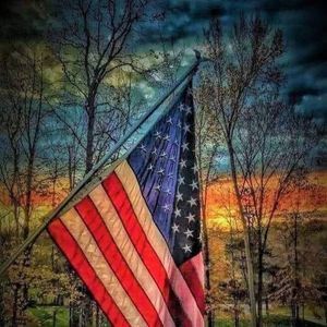 Meet your Posher, Elaine